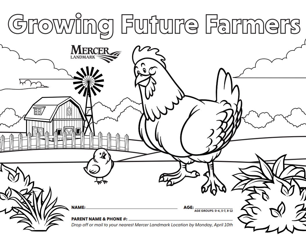 chicken coloring page